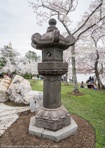 Cherry Blossoms in Washington DC - 2016
